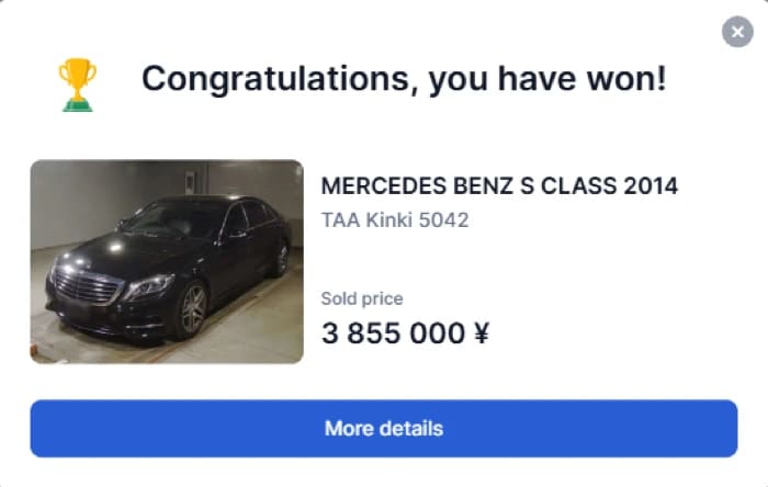 Congratulations, you have won! popup with sold price